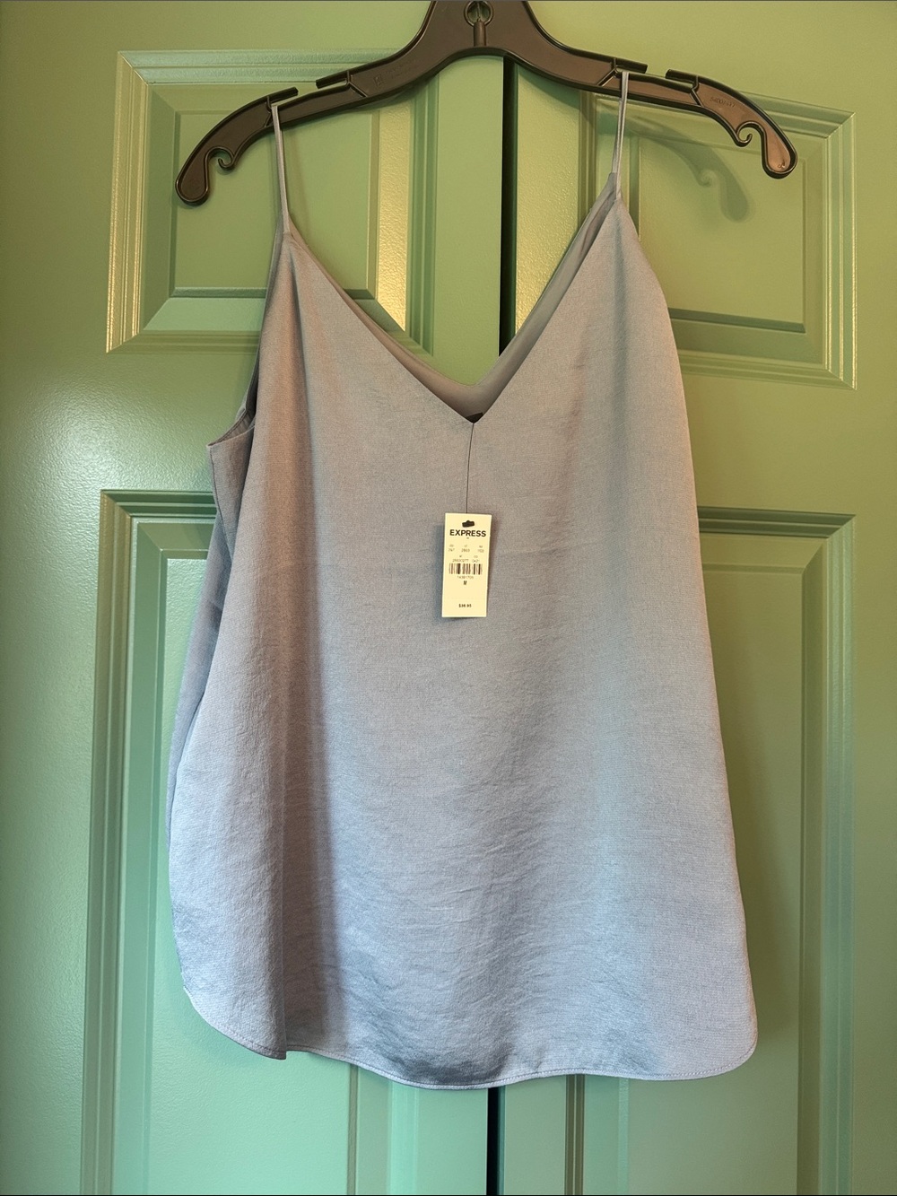 Express Silver V-Neck Spaghetti Strap Cami